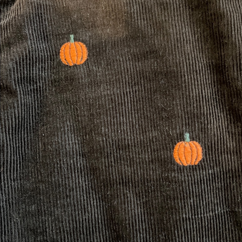 Gymboree corduroy Pants with Pumpkin Embroidery - Picture 3 of 4